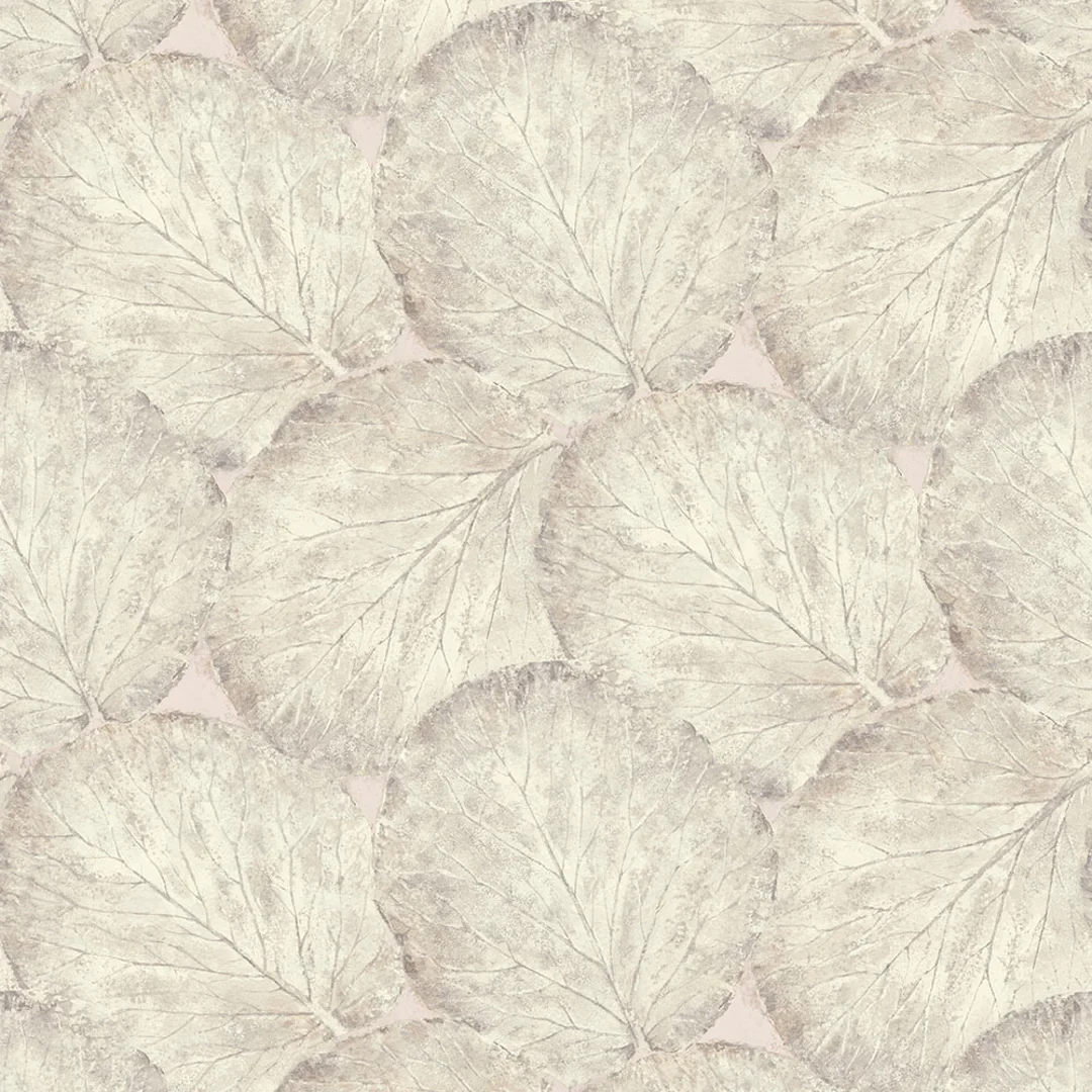 Beech Leaf Wallpaper in Blush