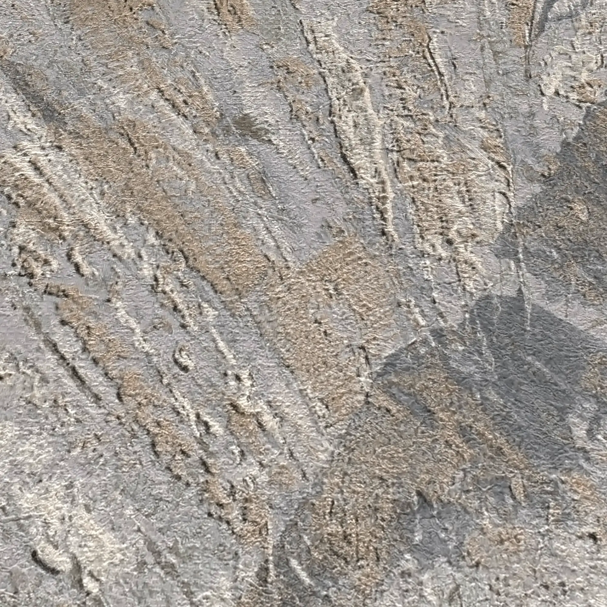 Curated Shell Wallpaper in Neutral Tones - Image 5