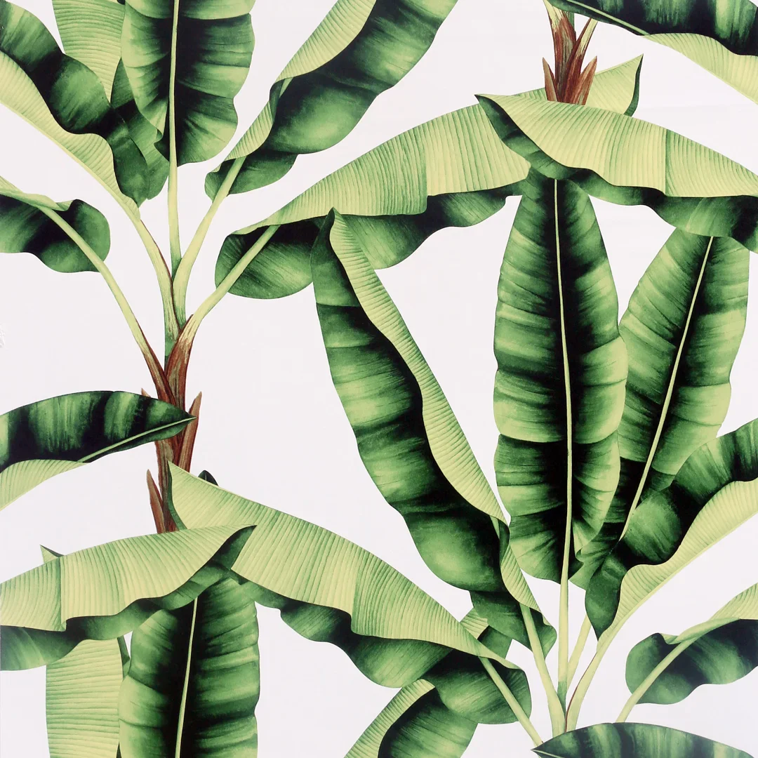 Musa Wallpaper in Green