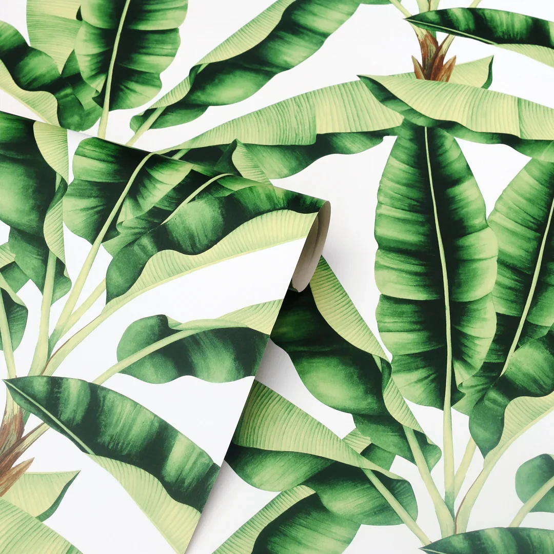 Musa Wallpaper in Green - Image 3