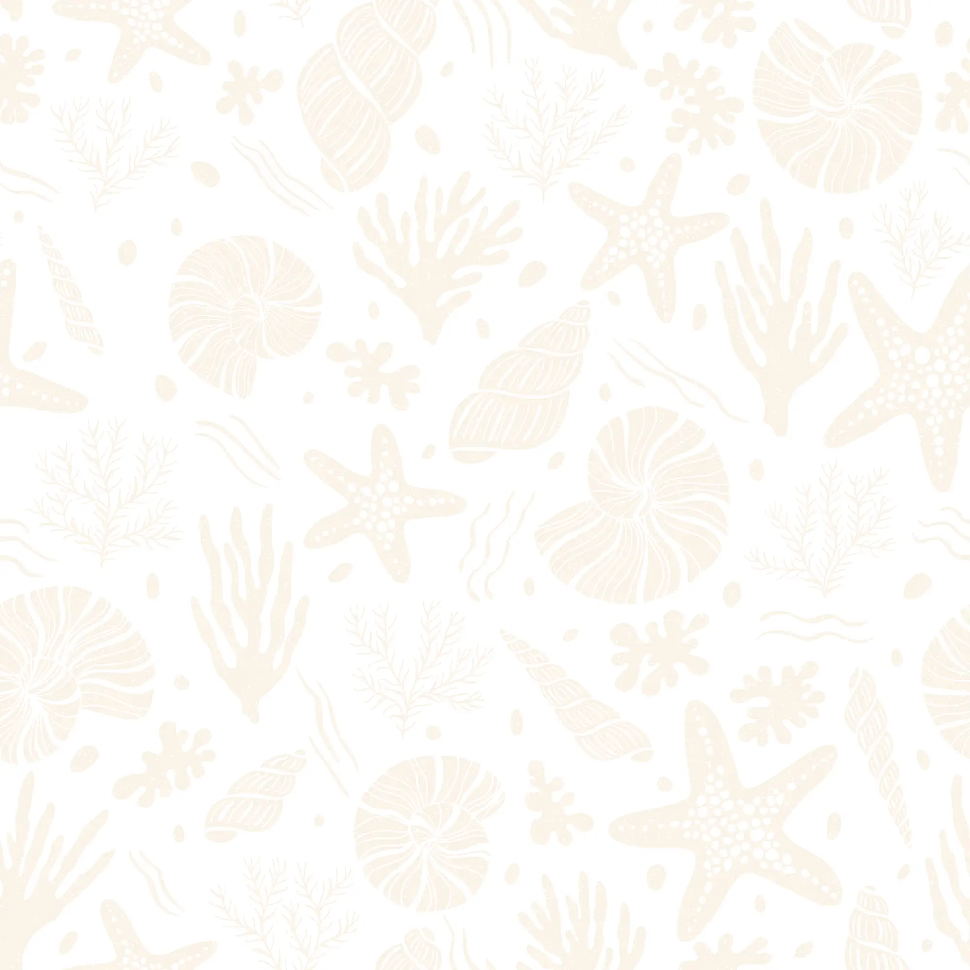 Seastars and Seashells Wallpaper in Ivory