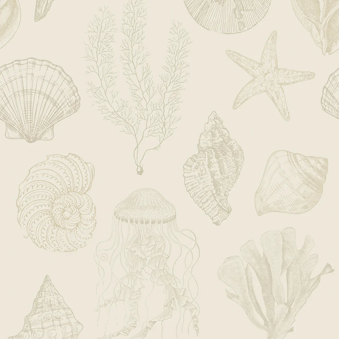Summer Seashells Wallpaper in Neutrals