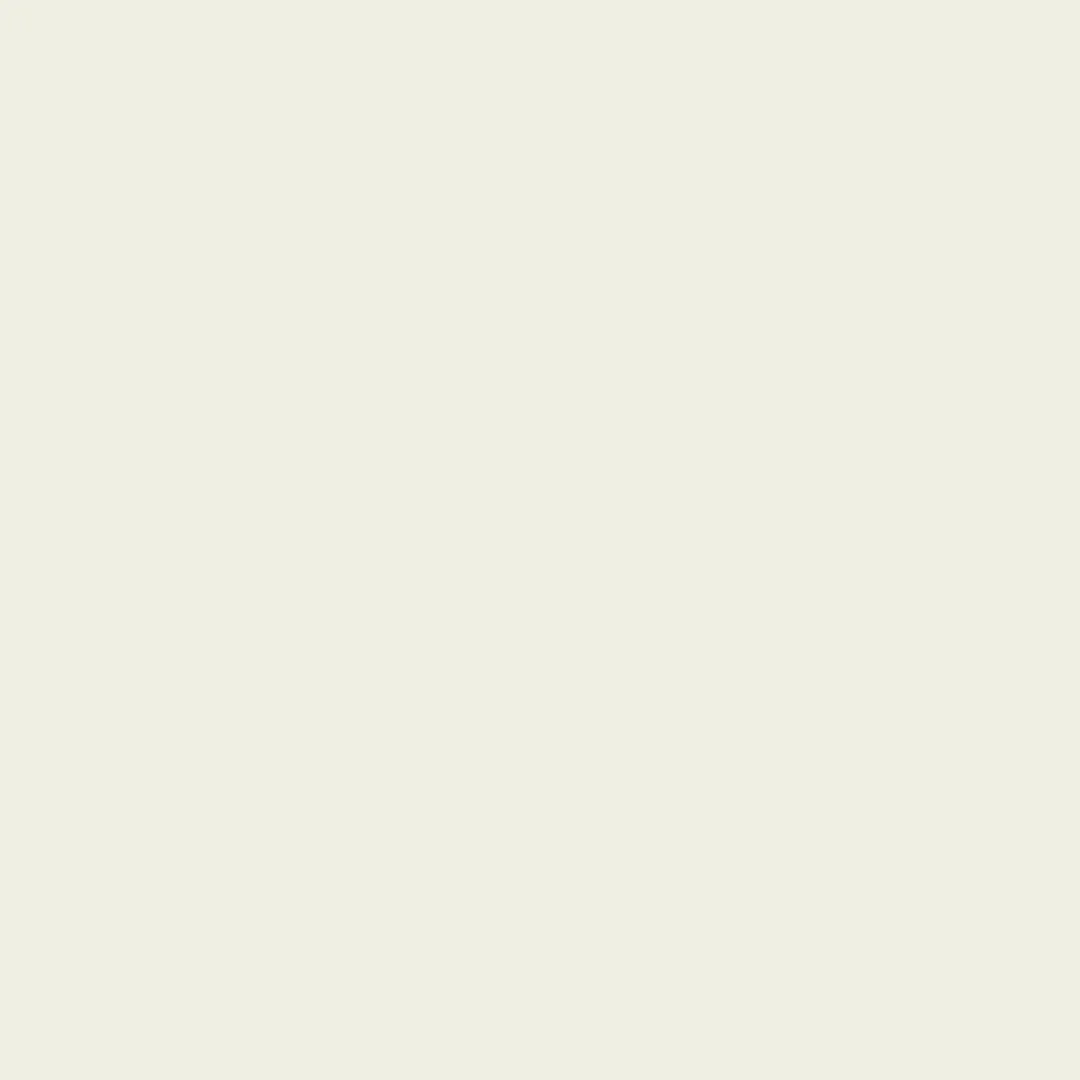 White Blossom Walls & Ceilings Matt Paint - 2.5L