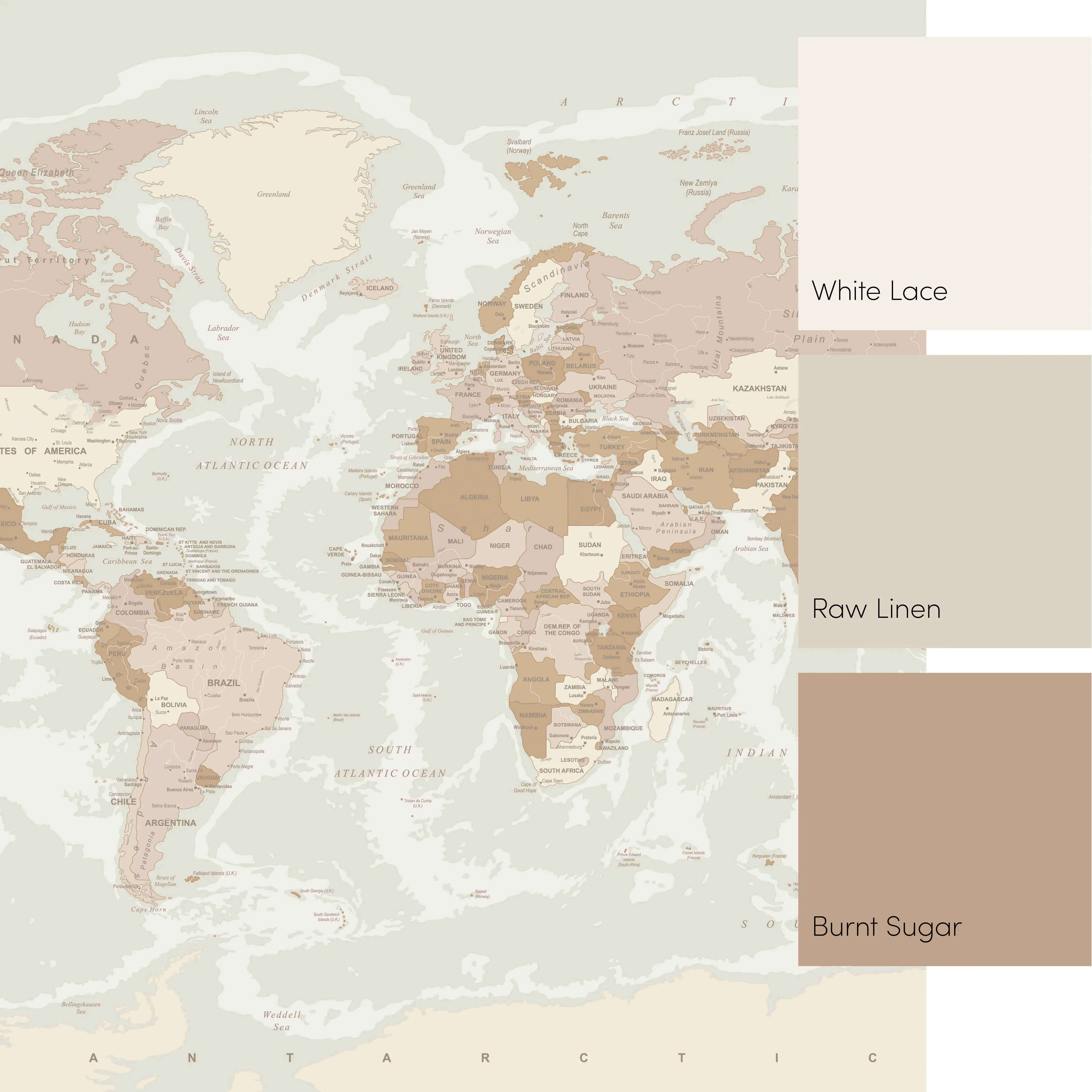 World Map Full Wall Mural in Neutral - Image 3